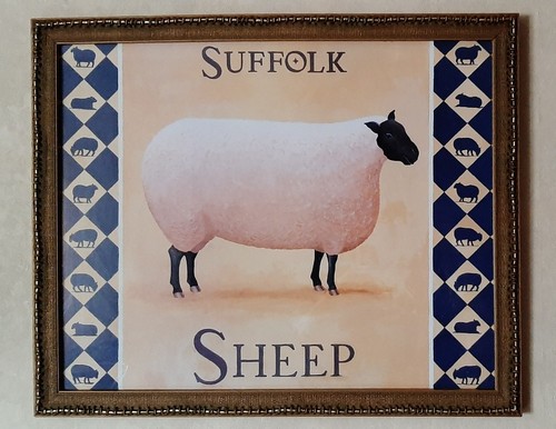 Bild suffolk sheep - bild, "