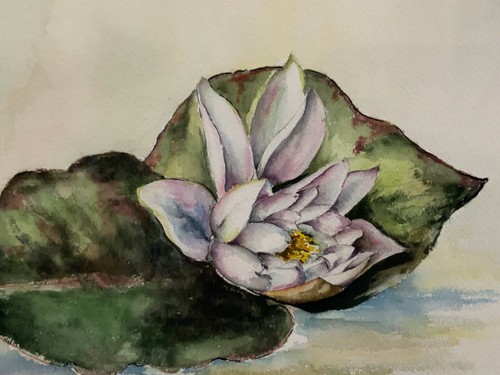Inge schermann aquarell - inge,