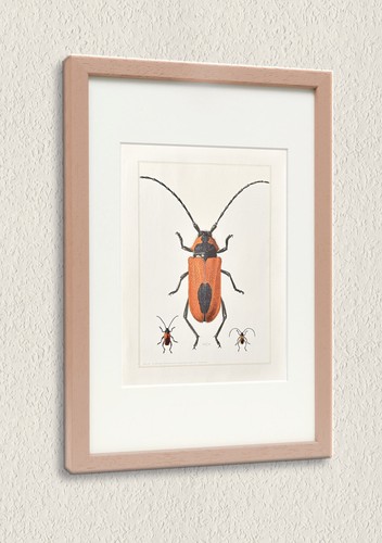 Kunstvolle illustrationen der - kunstvolle,