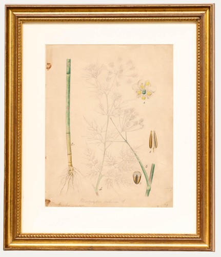 Aquarell aus dem - aus,