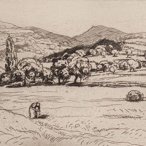 Landschaft frau bei feldarbeit - landschaft,