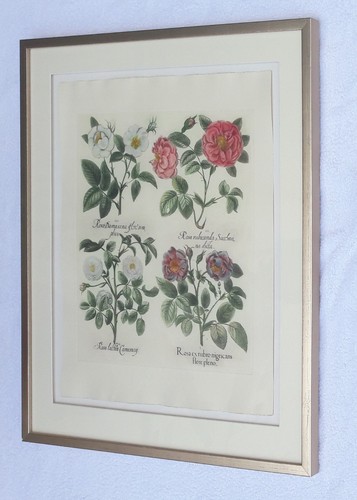 Antiker kupferstich original - antiker,