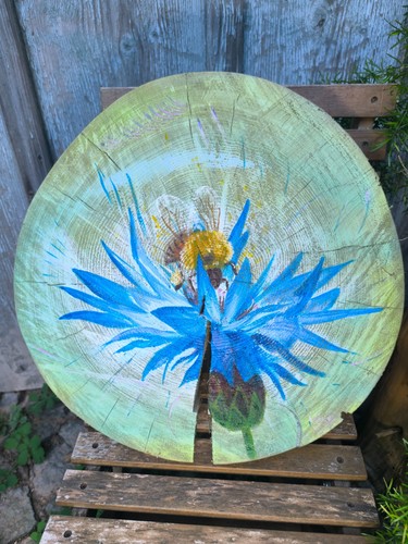 Wildbiene und kornblume - wildbiene,