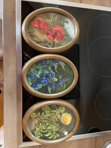 Bild blumen mit - bild, holzrahmen