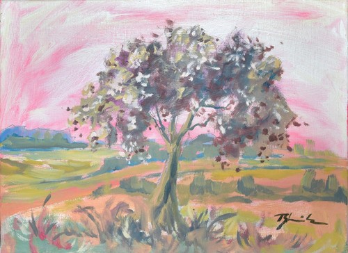 Baum 6071 2007 - "baum, 6071",