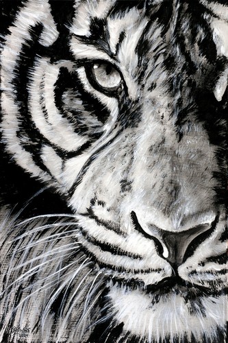 Original kunst grafik katzen - kunst, "