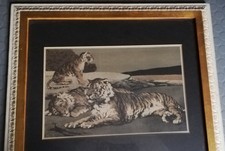 lithographie gerahmt